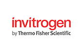 Invitrogen (Thermo Fisher Scientific)